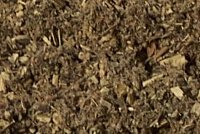 Mugwort - Click Image to Close